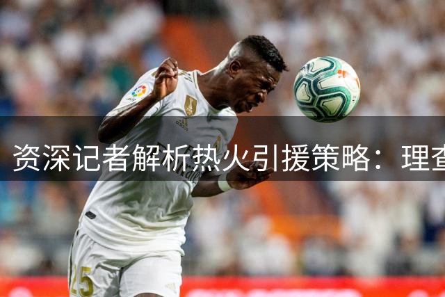 资深记者解析热火引援策略：理查兹与文森特成理想人选